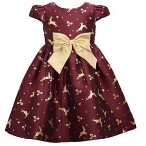 Girls 4-6x Bonnie Jean Reindeer Jacquard Dress